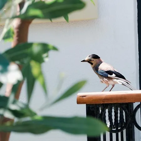 Hotell Maya Bistro &