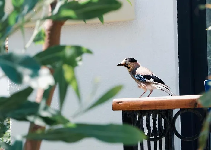 מלון Maya Bistro &