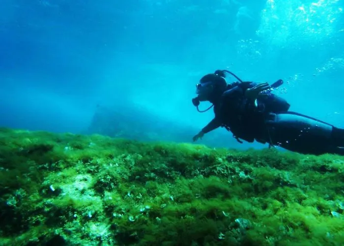 Maya Bistro & Hotel Sigacik