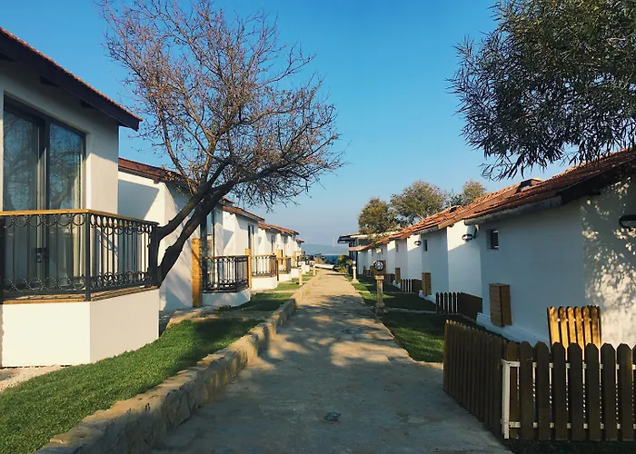 Maya Bistro & מלון